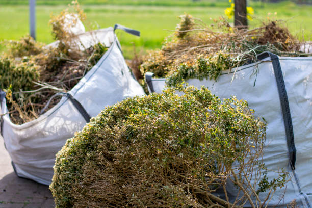 Best Shed Removal  in Emmetsburg, IA